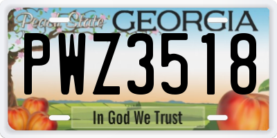 GA license plate PWZ3518