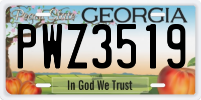 GA license plate PWZ3519