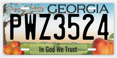 GA license plate PWZ3524