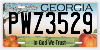 GA license plate PWZ3529
