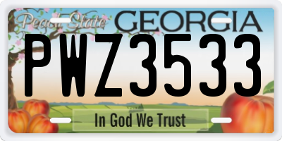 GA license plate PWZ3533