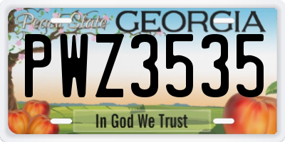 GA license plate PWZ3535