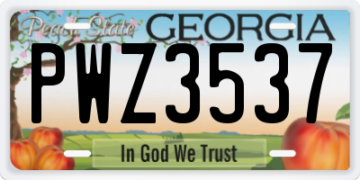 GA license plate PWZ3537