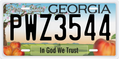 GA license plate PWZ3544