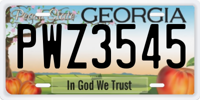 GA license plate PWZ3545