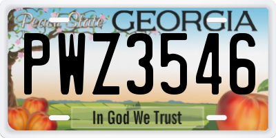 GA license plate PWZ3546