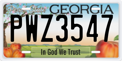 GA license plate PWZ3547