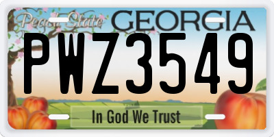 GA license plate PWZ3549