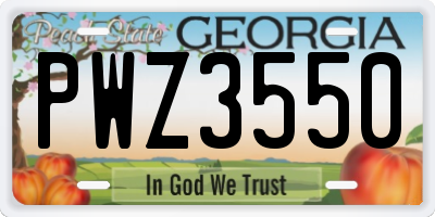 GA license plate PWZ3550