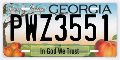 GA license plate PWZ3551