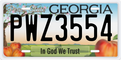GA license plate PWZ3554