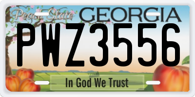 GA license plate PWZ3556
