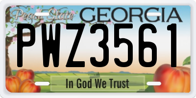 GA license plate PWZ3561