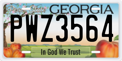 GA license plate PWZ3564