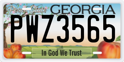 GA license plate PWZ3565