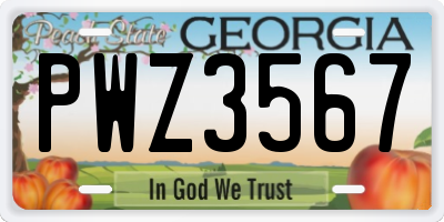 GA license plate PWZ3567