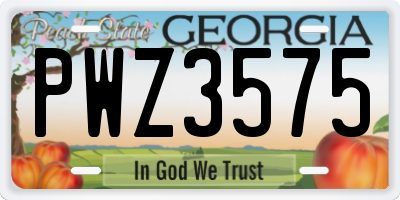 GA license plate PWZ3575