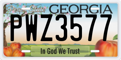 GA license plate PWZ3577