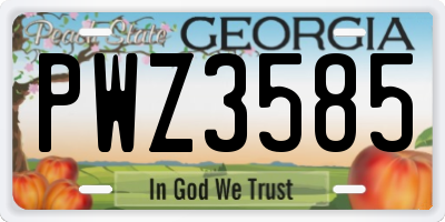 GA license plate PWZ3585