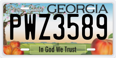 GA license plate PWZ3589