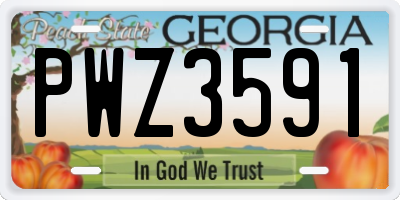GA license plate PWZ3591