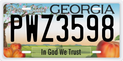 GA license plate PWZ3598