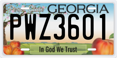 GA license plate PWZ3601