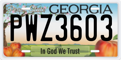 GA license plate PWZ3603