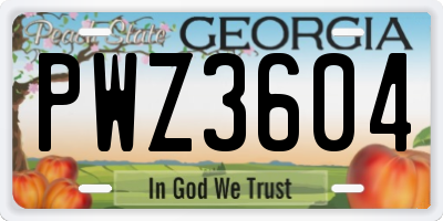 GA license plate PWZ3604