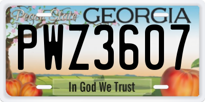 GA license plate PWZ3607