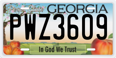 GA license plate PWZ3609