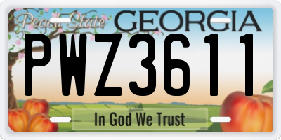 GA license plate PWZ3611