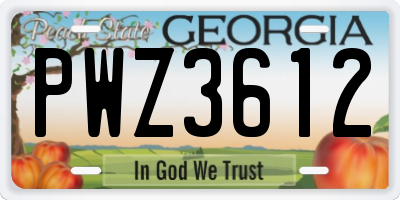 GA license plate PWZ3612