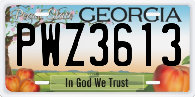 GA license plate PWZ3613