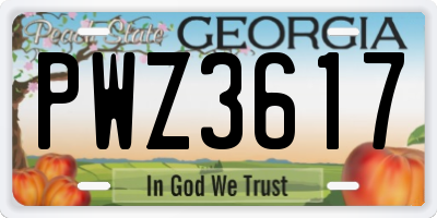 GA license plate PWZ3617