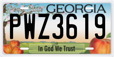 GA license plate PWZ3619
