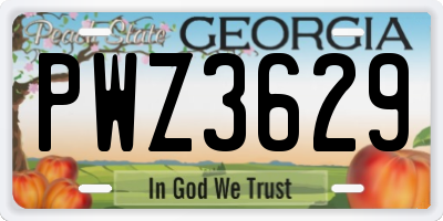 GA license plate PWZ3629