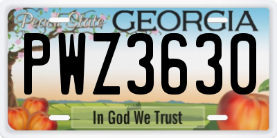 GA license plate PWZ3630