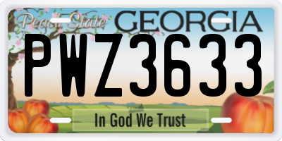 GA license plate PWZ3633