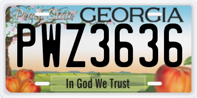 GA license plate PWZ3636