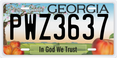 GA license plate PWZ3637