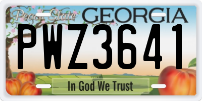GA license plate PWZ3641