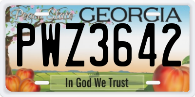 GA license plate PWZ3642
