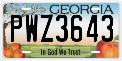 GA license plate PWZ3643