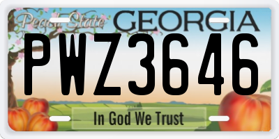 GA license plate PWZ3646