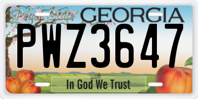 GA license plate PWZ3647