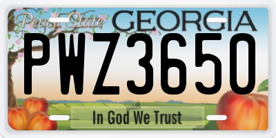 GA license plate PWZ3650