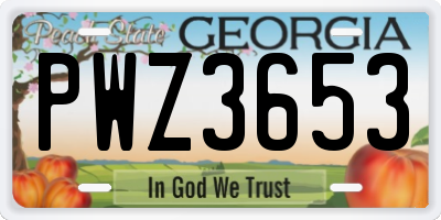 GA license plate PWZ3653