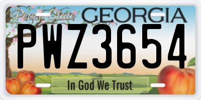 GA license plate PWZ3654