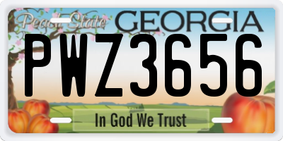 GA license plate PWZ3656